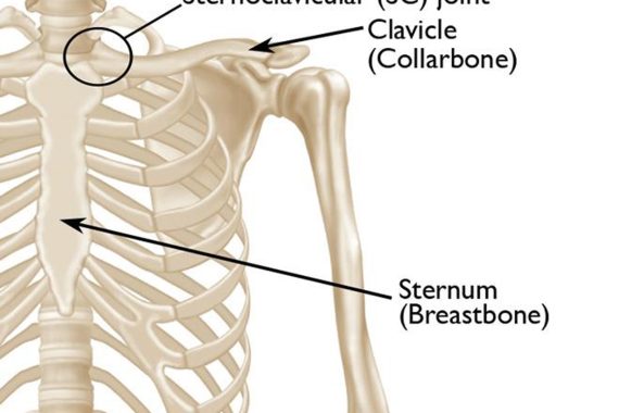Sternoclavicular joint injuries